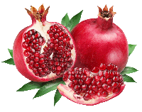 Indian Council of Agricultural Research (ICAR) - National Research Centre on Pomegranate (NRCP), Solapur |भारतीय कृषि अनुसंधान परिषद (भा. कृ. अनु. प.) - राष्ट्रीय अनार अनुसंधान केंद्र, सोलापुर
